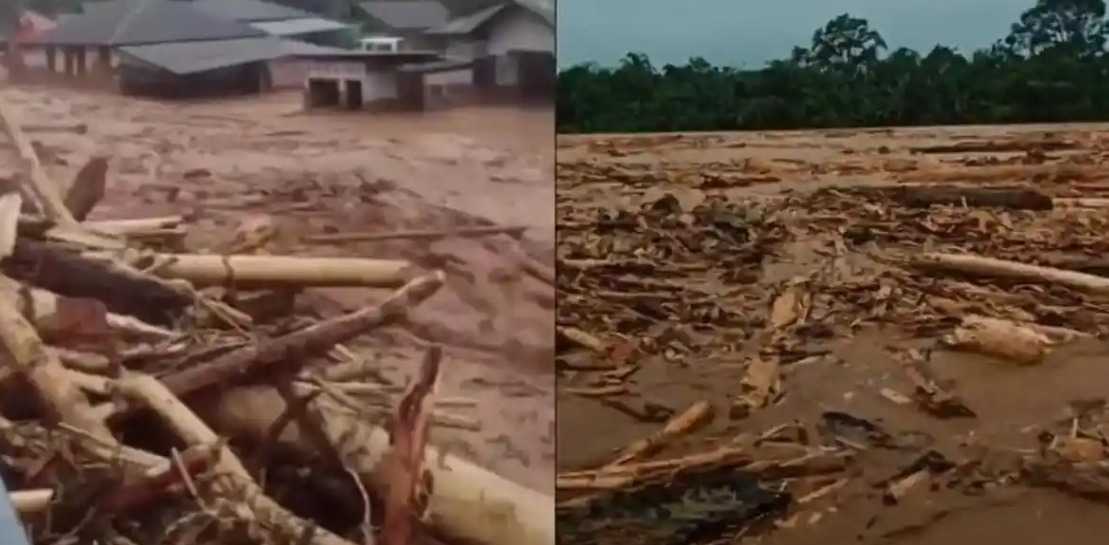 DPR Larang Warga Gunakan Kayu Gelondongan Sembarangan